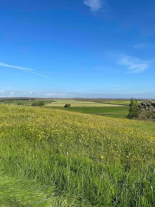 Cosy Cottage Near Brimham Rocks Yorkshire Dales Grantley