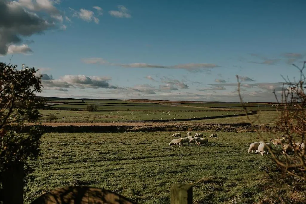 Holiday home Cosy Cottage Near Brimham Rocks Yorkshire Dales Grantley United Kingdom