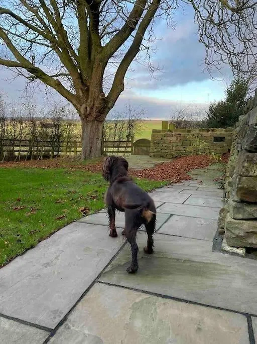 Cosy Cottage Near Brimham Rocks Yorkshire Dales Grantley 0*,  United Kingdom
